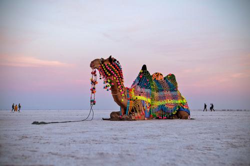 THE BEAUTIFUL VIEW OF SUNSET IN WHITE RANN OF KUTCH